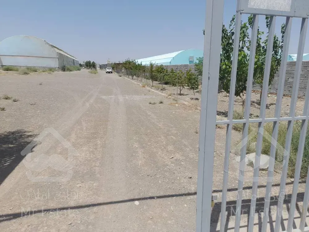 گلخانه ۵۰۰۰ متری/ سند تک برگ