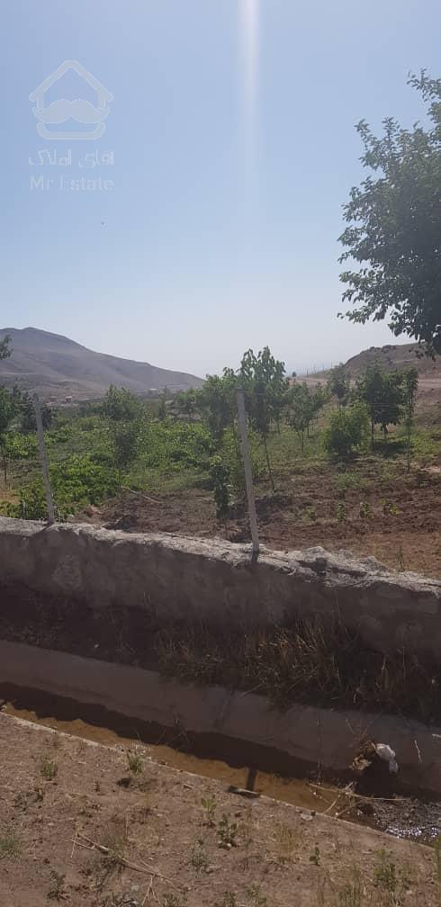 فروش باغ محصور شده با درختان مثمر در مسیر طالقان (روستای صمغ آباد)