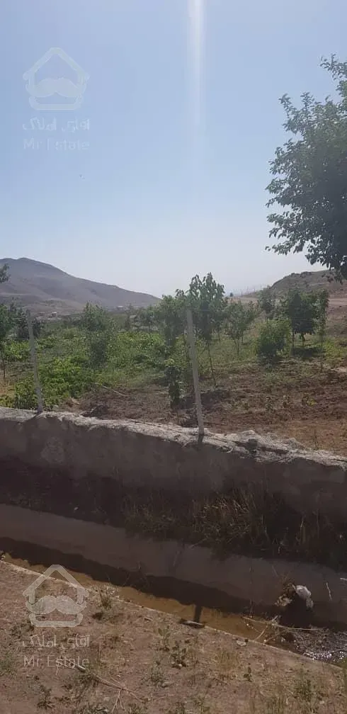 فروش باغ محصور شده با درختان مثمر در مسیر طالقان (روستای صمغ آباد)