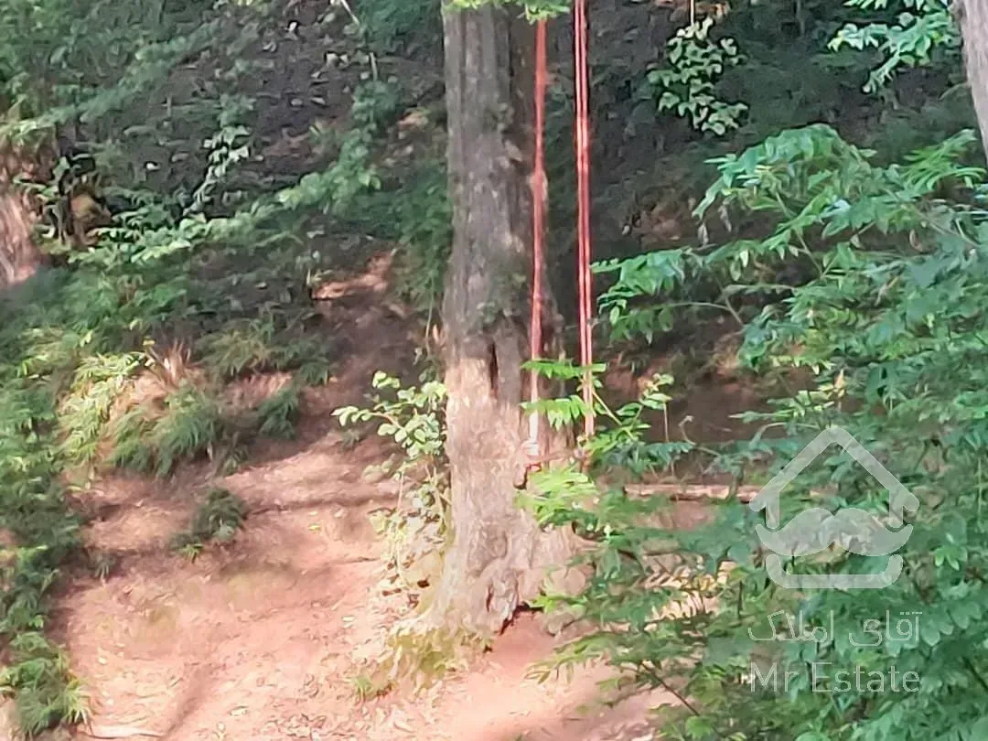 فروش مجموعه تفریحی اقامتی شمال