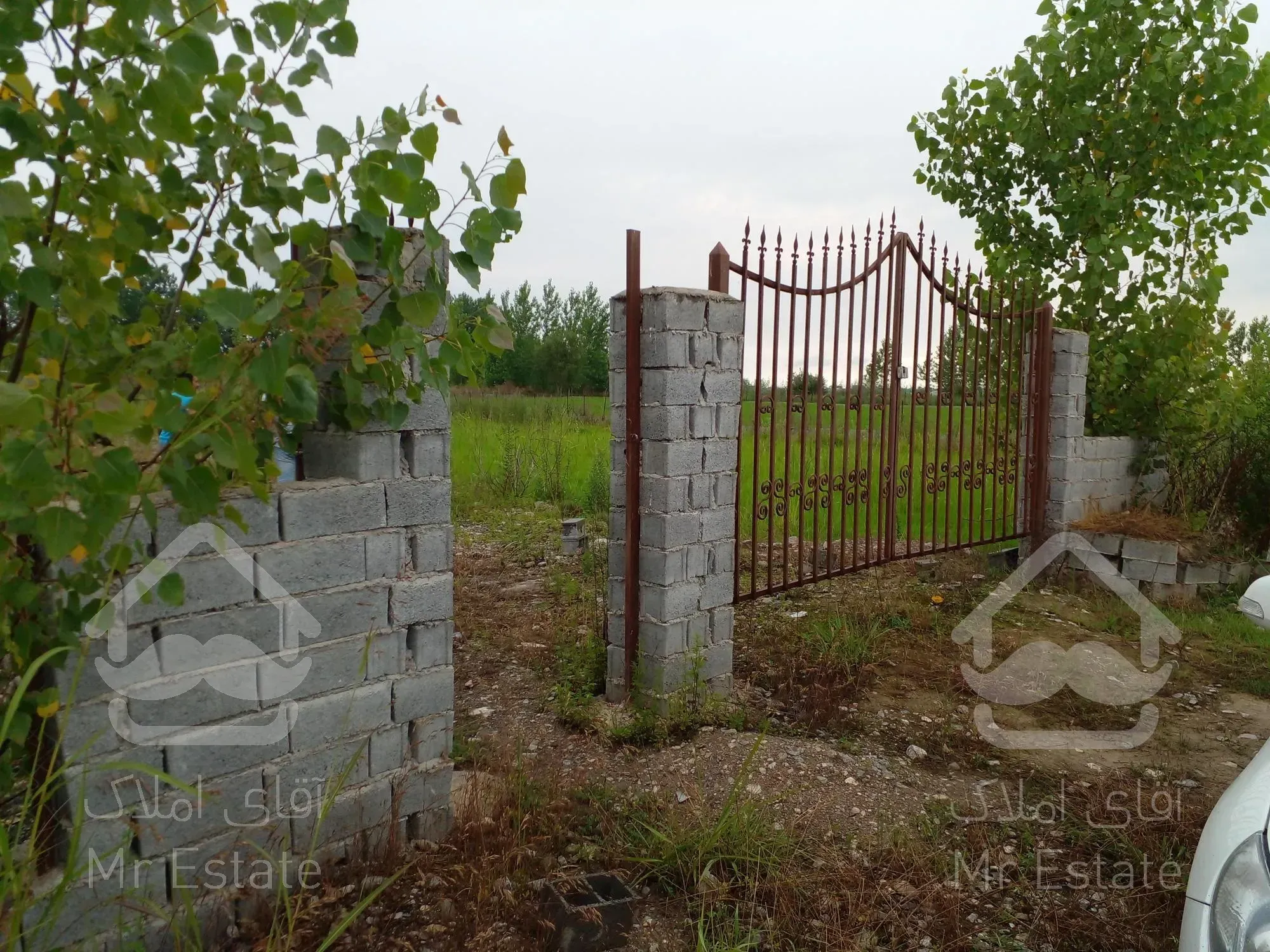 زمین نزدیک به جنگل