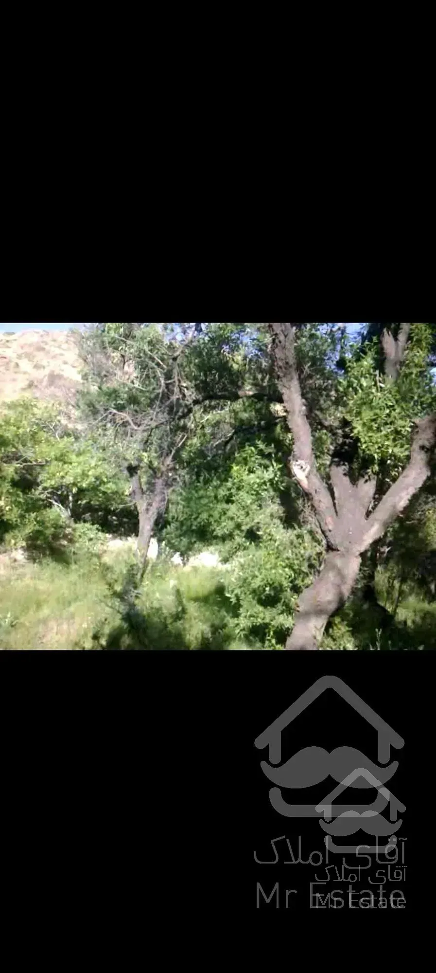 29هزارمترزمین وباغ