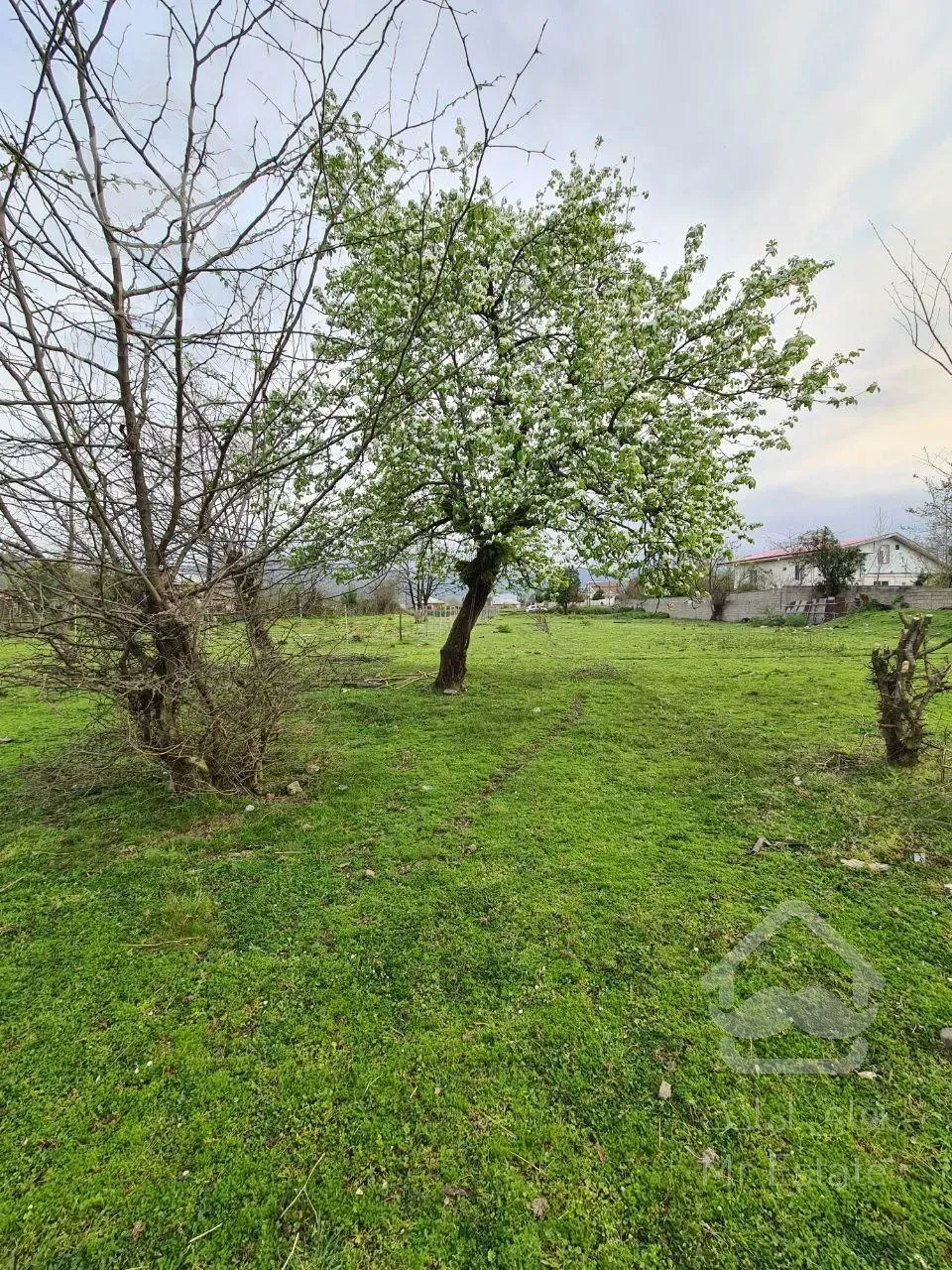 زمین ویو دار با قیمت استثنایی