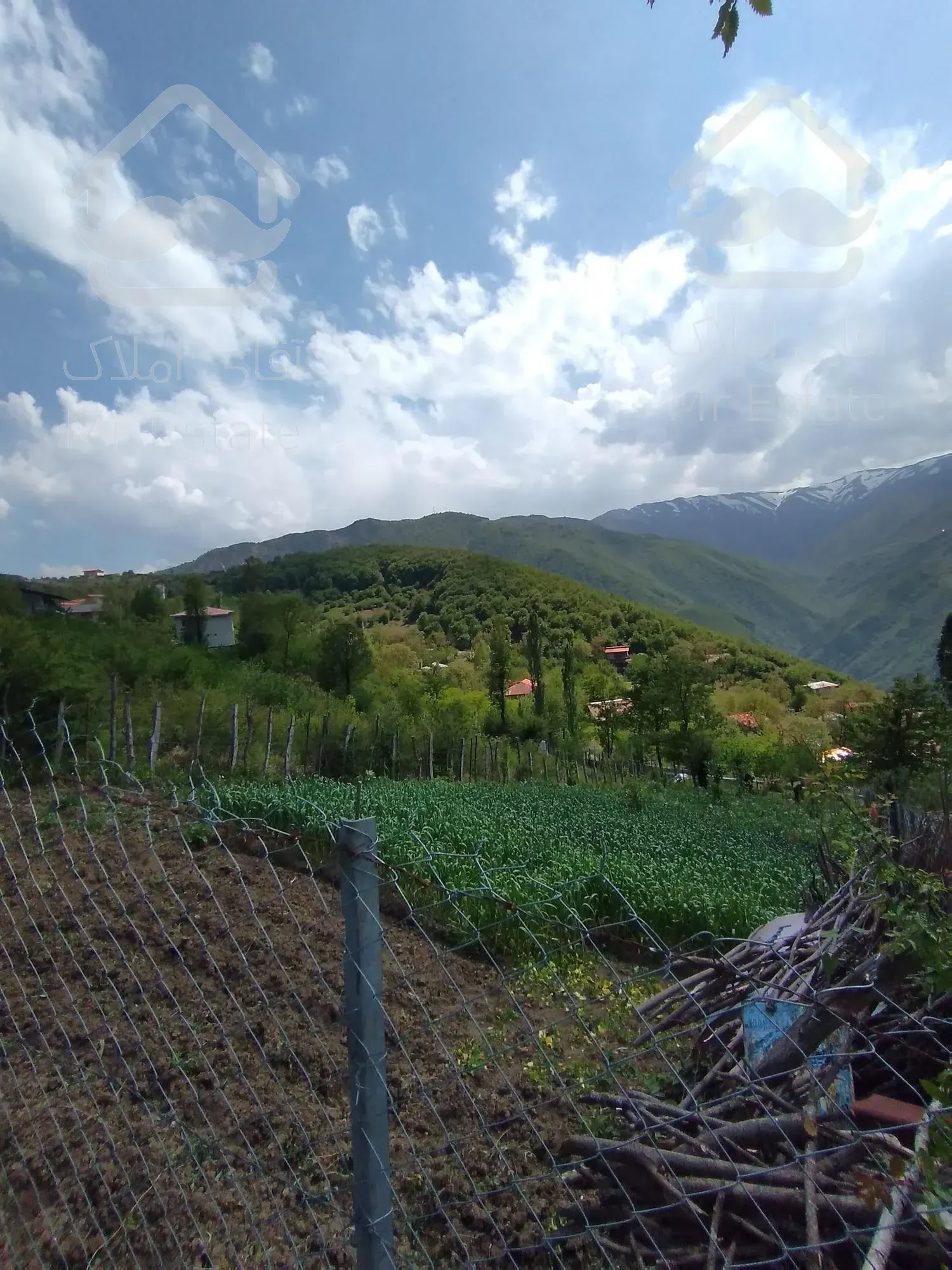 زمین ییلاقی،ییلاق دالخانی(ولنگان)