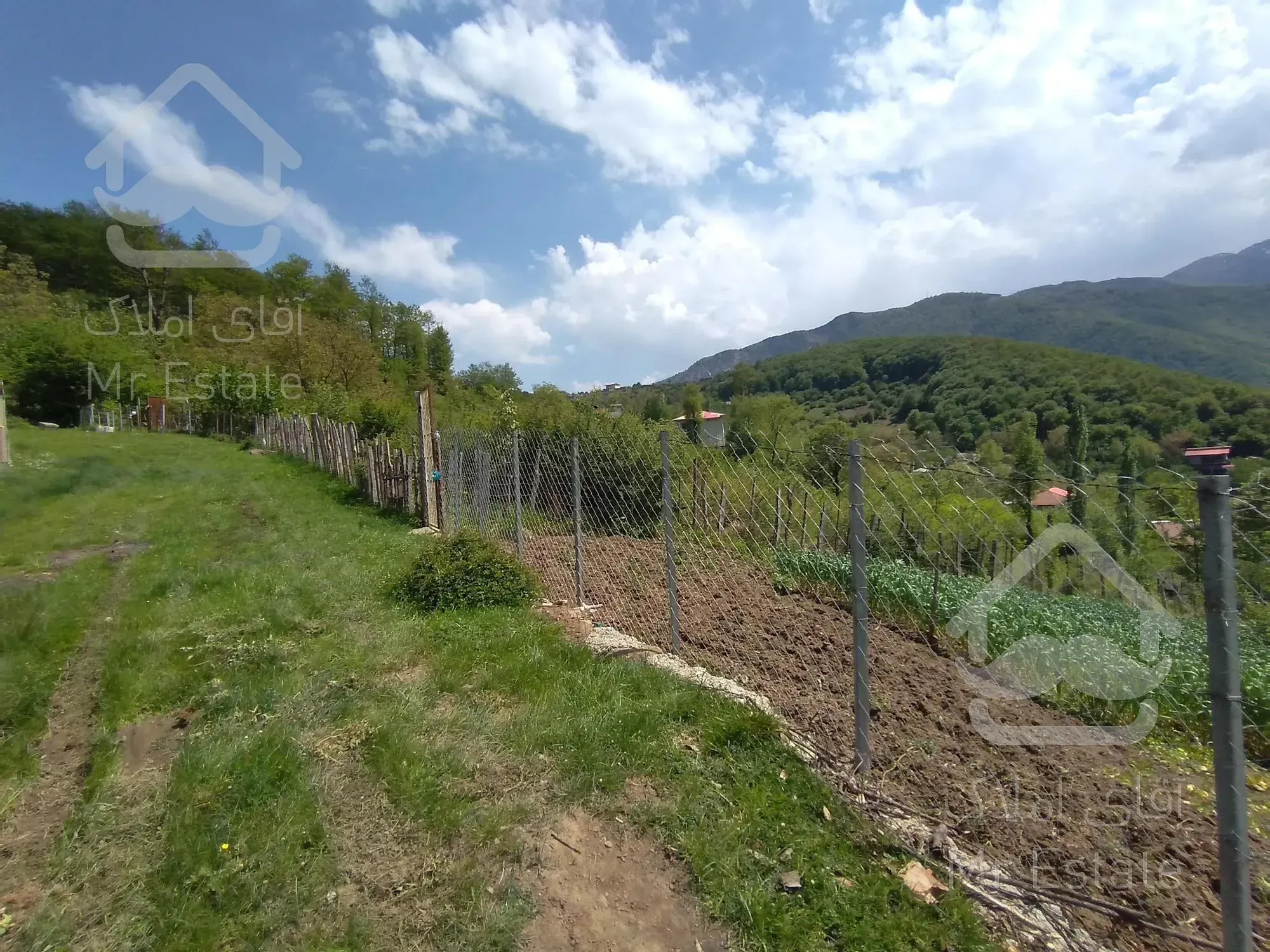 زمین ییلاقی،ییلاق دالخانی(ولنگان)