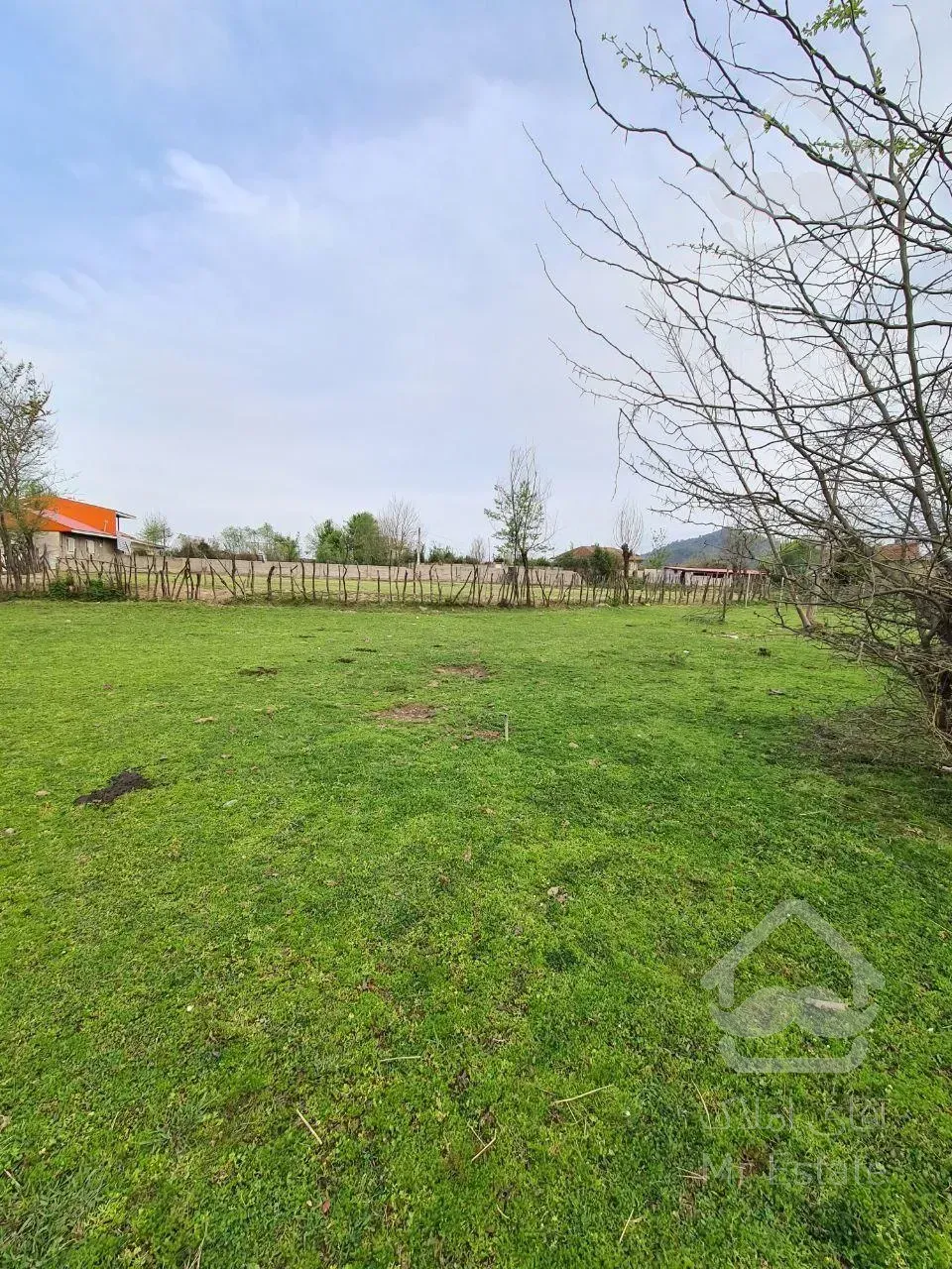 زمین ویو دار با قیمت استثنایی