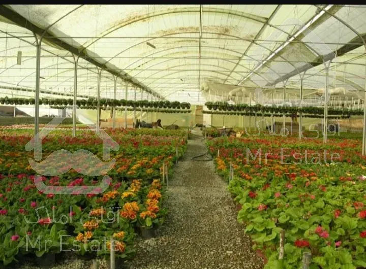 متقاضی خرید گلخونه در شمال کشور