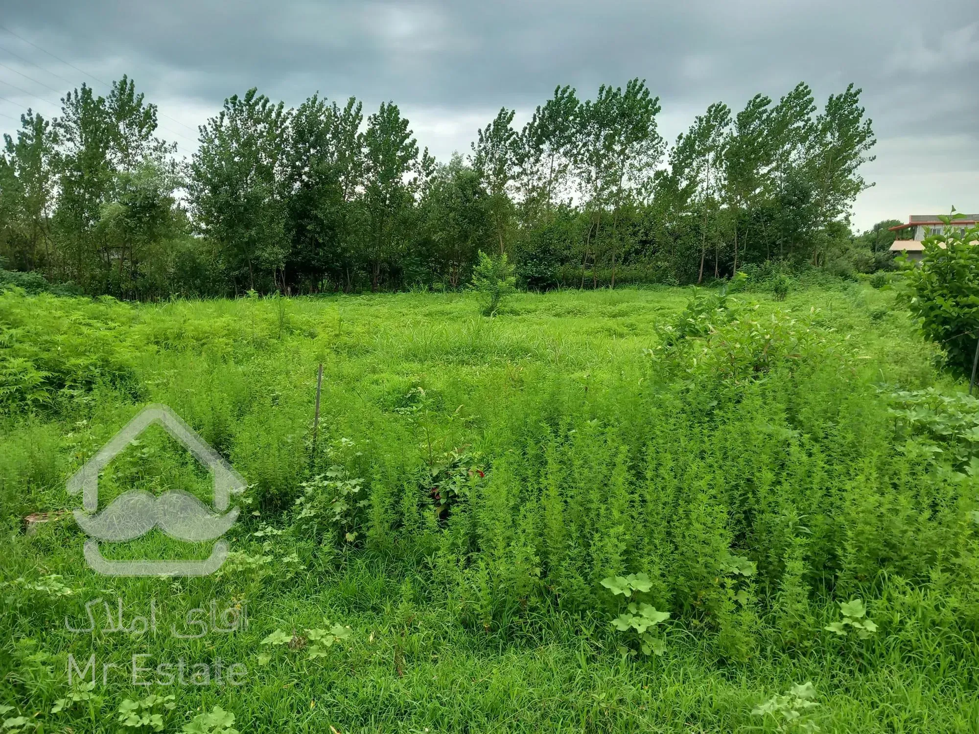 فروش زمین در منطقه خانسر