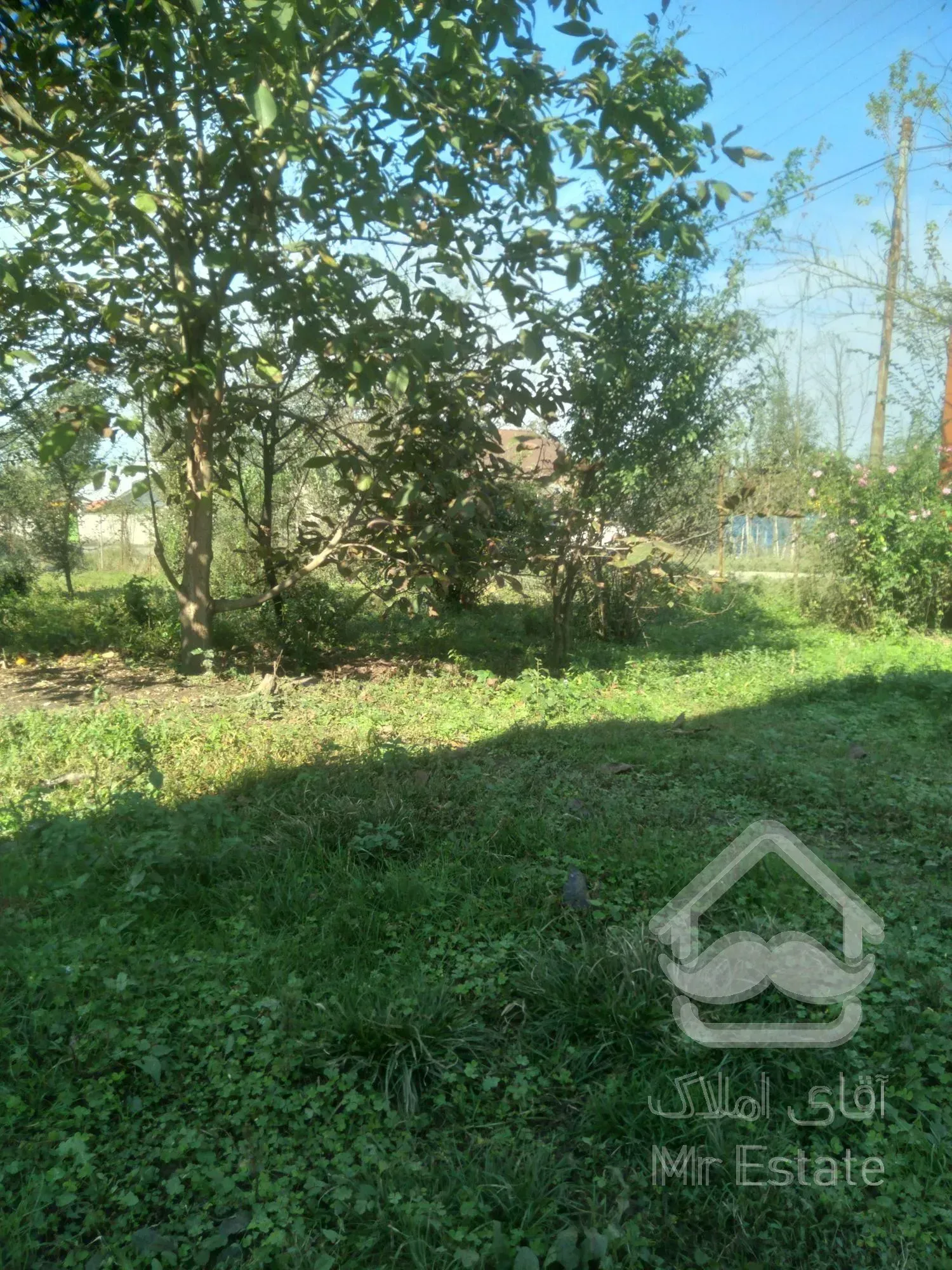 فروش زمین مسکونی واقع در شمال