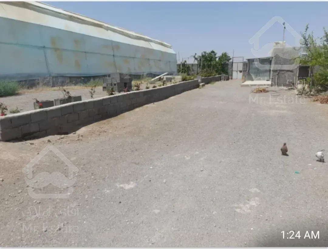 مجتمع گلخانه ای/ سلفچگان/ تک برگ