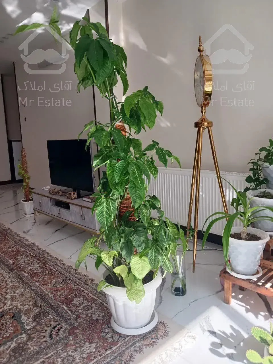 رهن و اجاره آپارتمان