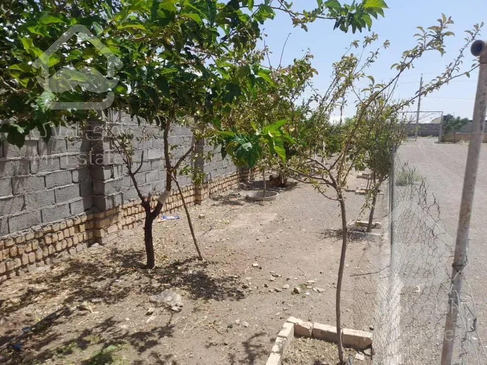 گلخانه ۵۰۰۰ متری/ سند تک برگ