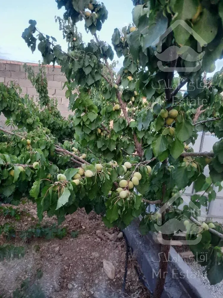 تهاتر ویلا باغ با اپارتمان در ساوه پرند