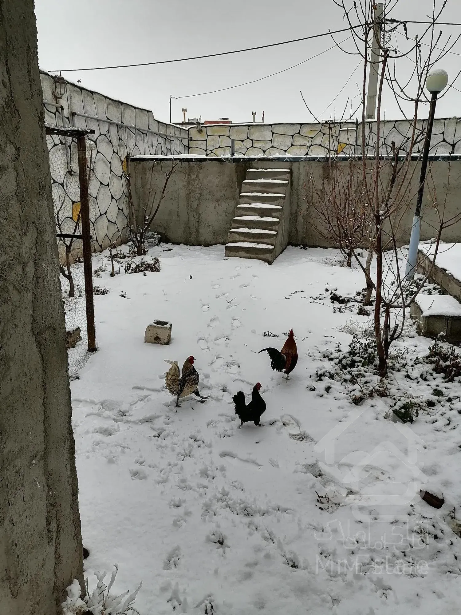 ویلا باغ تبریز 400 متر