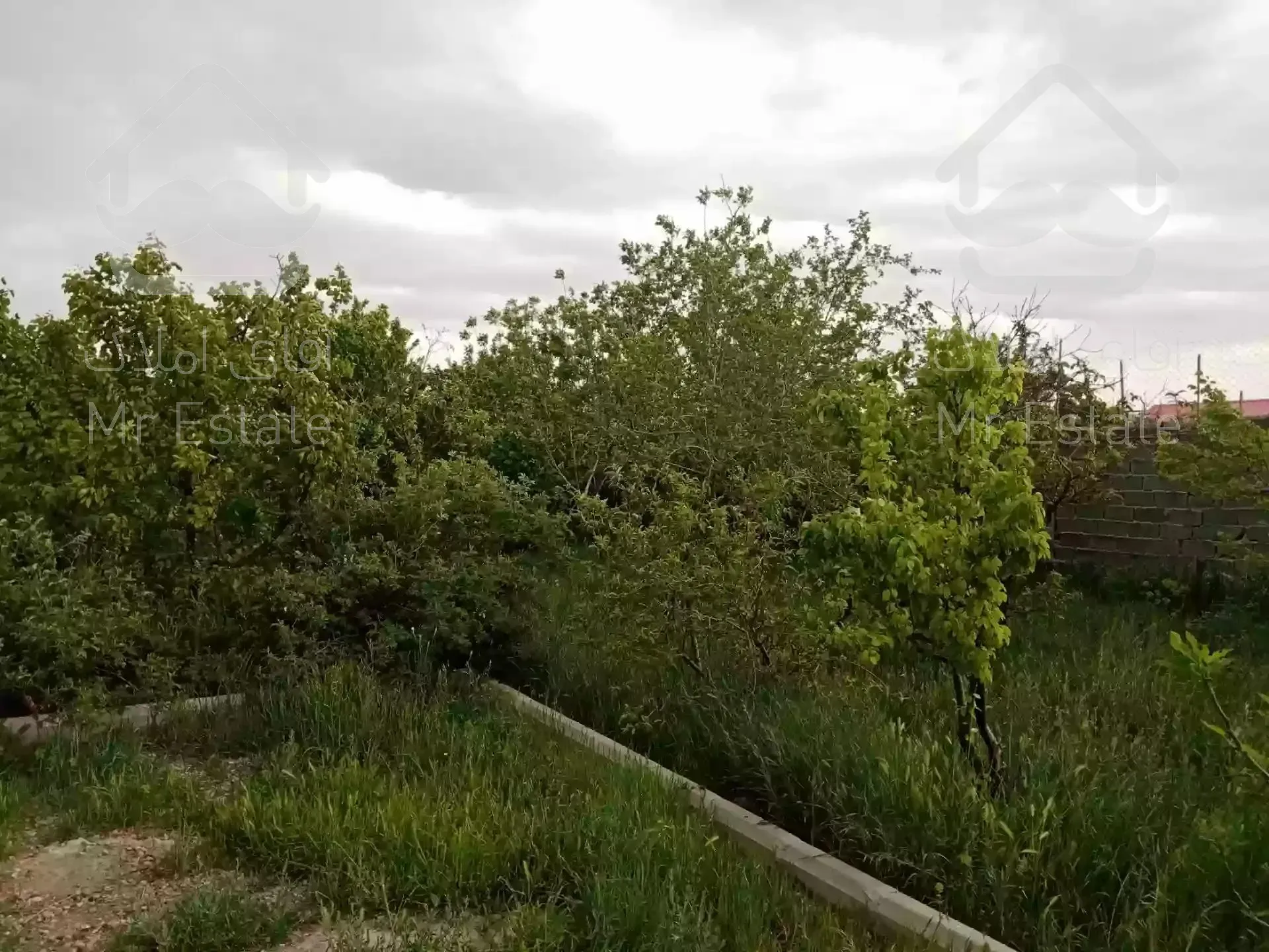 باغ ۱۰۰۰ متری در رباط کریم