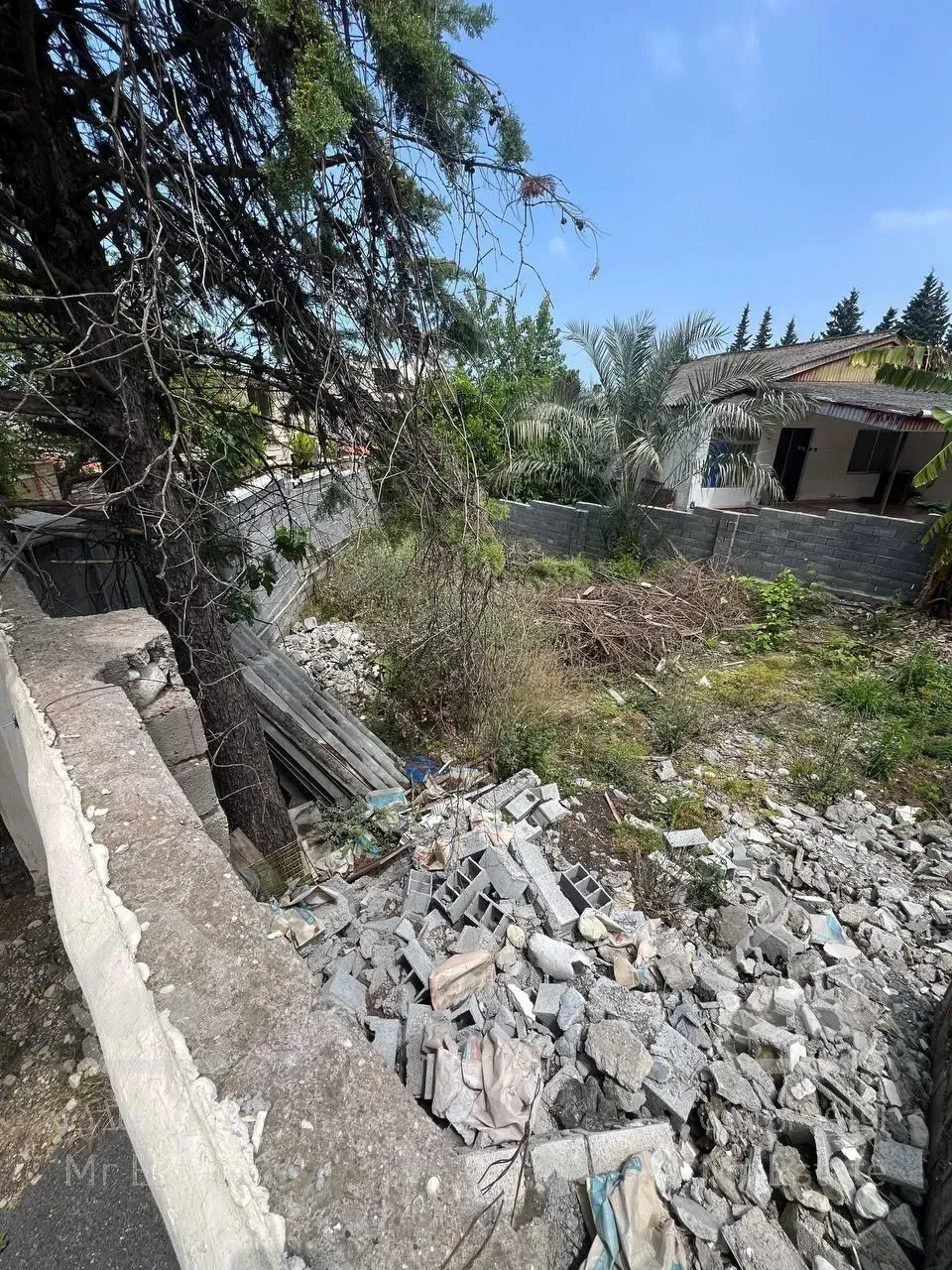 فروش زمین مسکونی دامنه جنگل