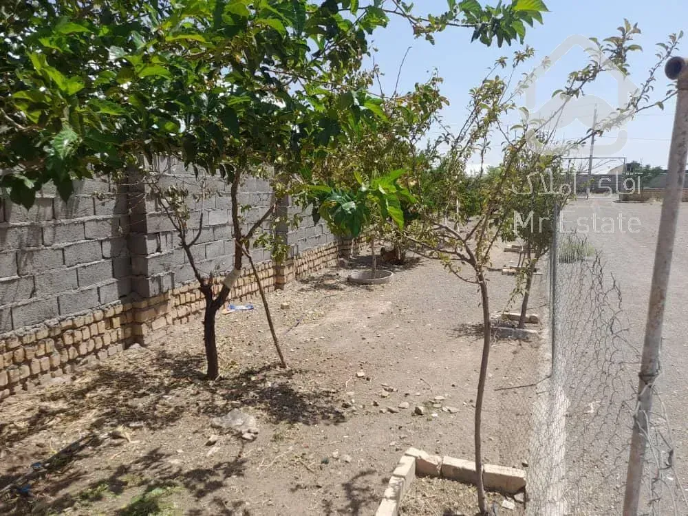 مجتمع گلخانه ای/ سلفچگان/ تک برگ