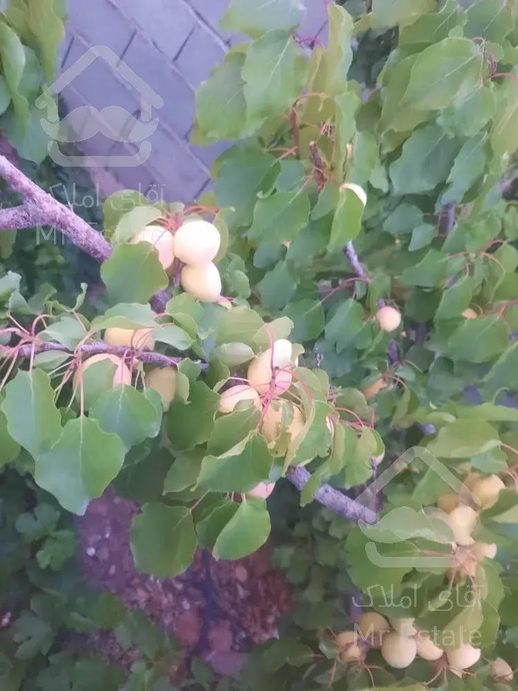 تهاتر ویلا باغ با اپارتمان در ساوه پرند