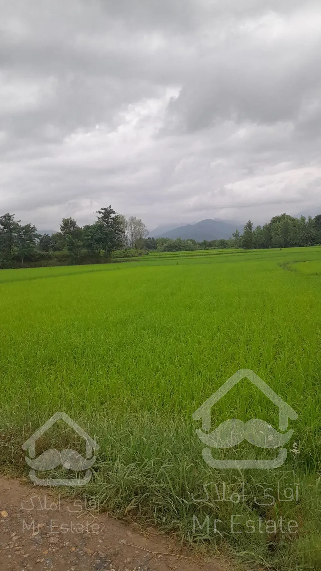 ۹۵۰متر ویلا باغ سنتی