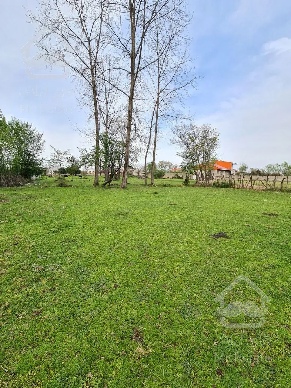 زمین ویو دار با قیمت استثنایی