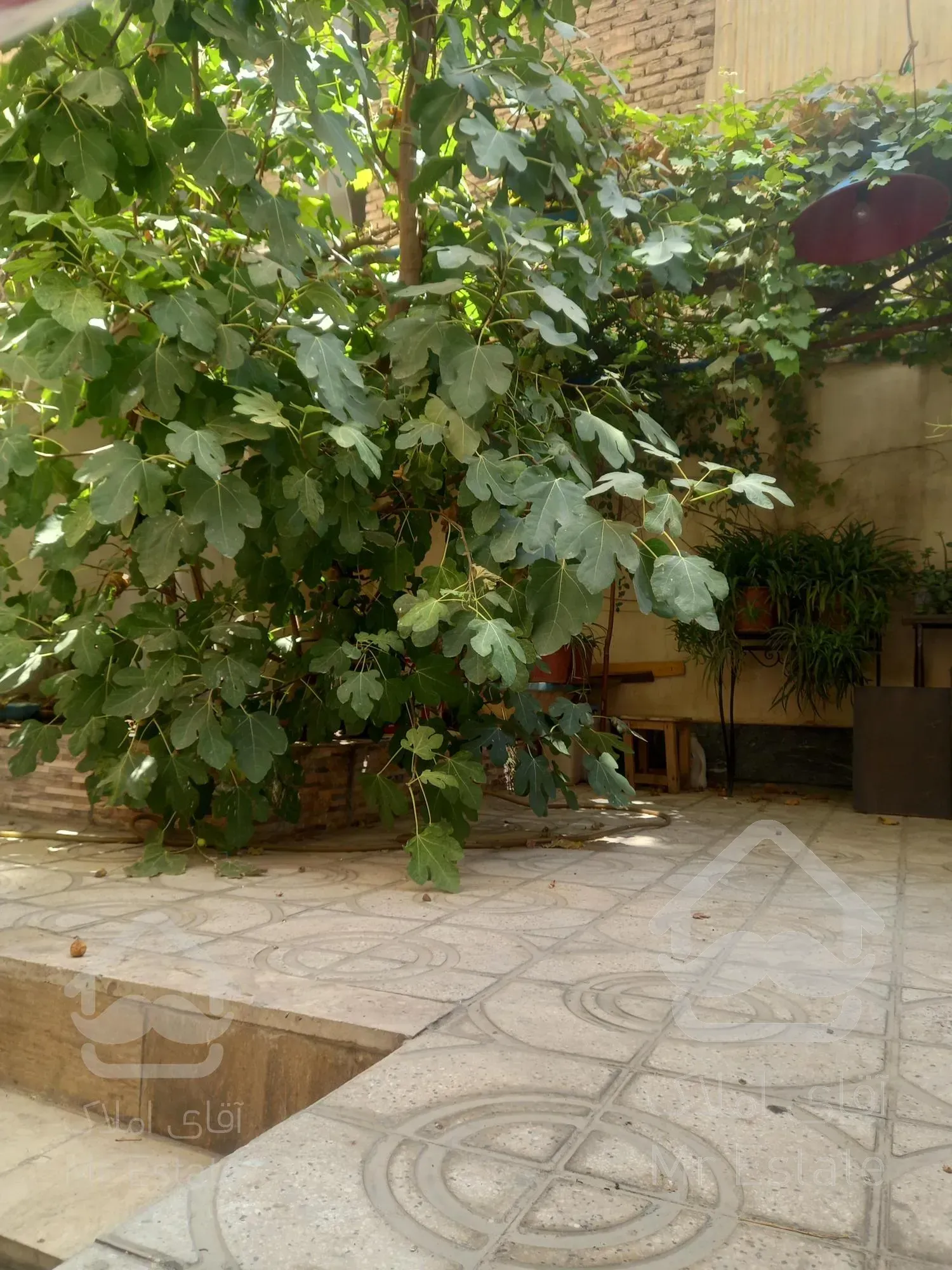 ۵۳متر/یک خواب خوش نقشه در جی