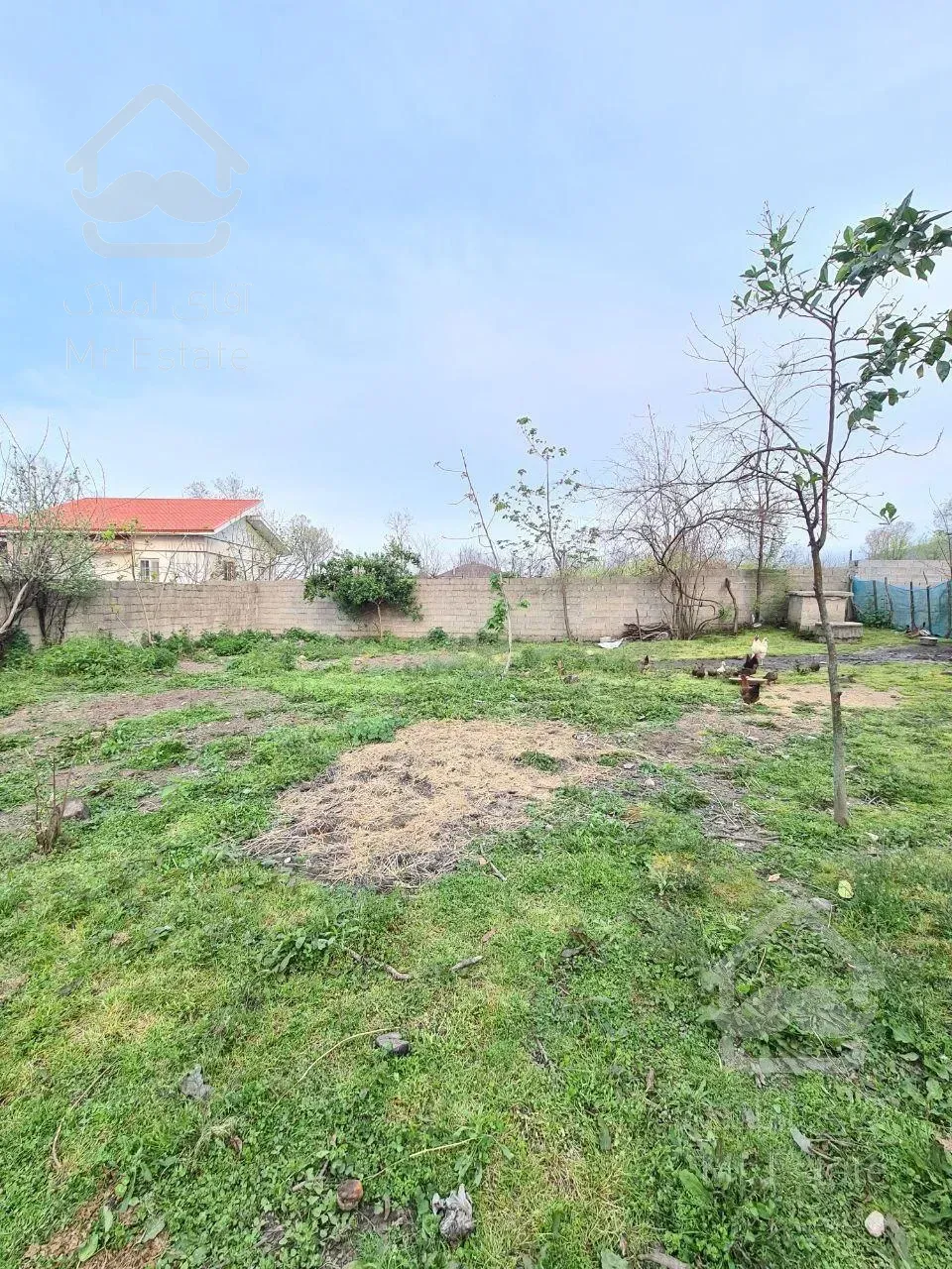 زمین مسکونی سنددار