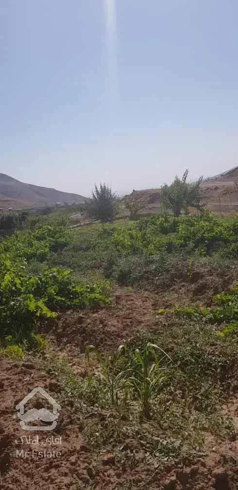 فروش باغ محصور شده با درختان مثمر در مسیر طالقان (روستای صمغ آباد)