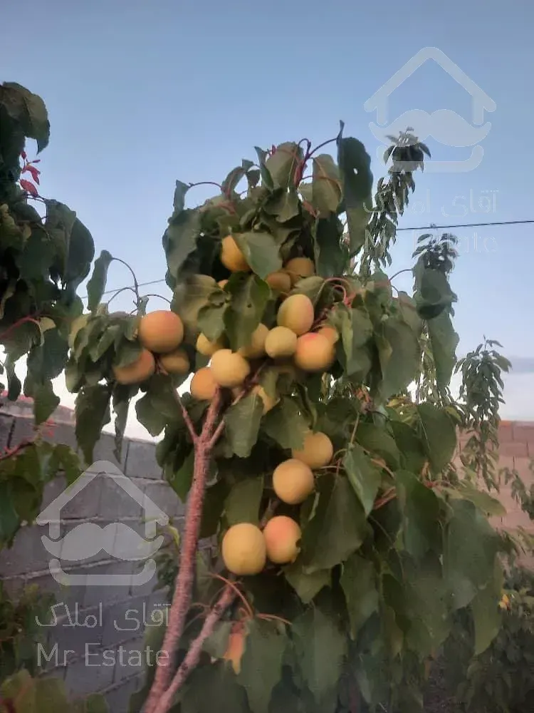 تهاتر ویلا باغ با اپارتمان در ساوه پرند