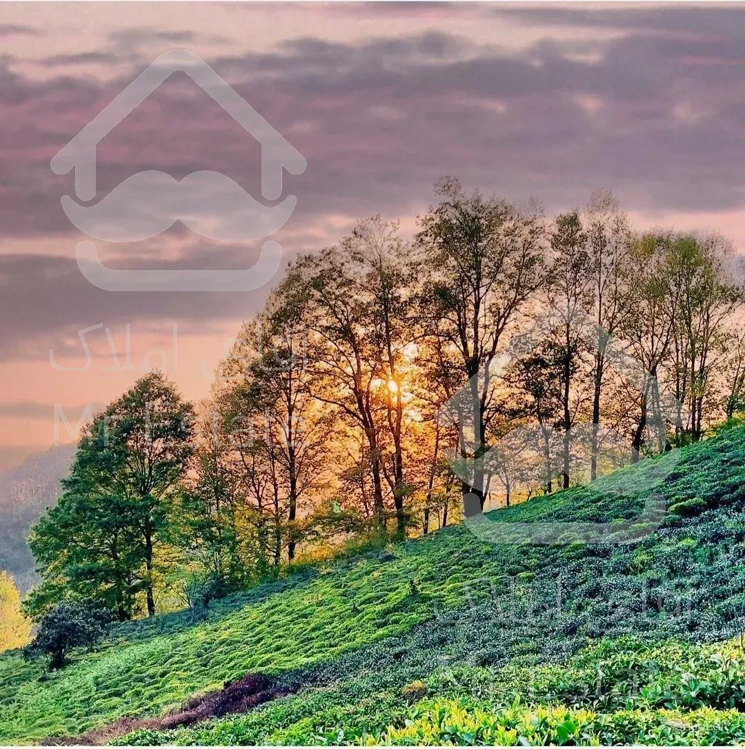 زمین کاملا مسکونی در بهترین چشم انداز