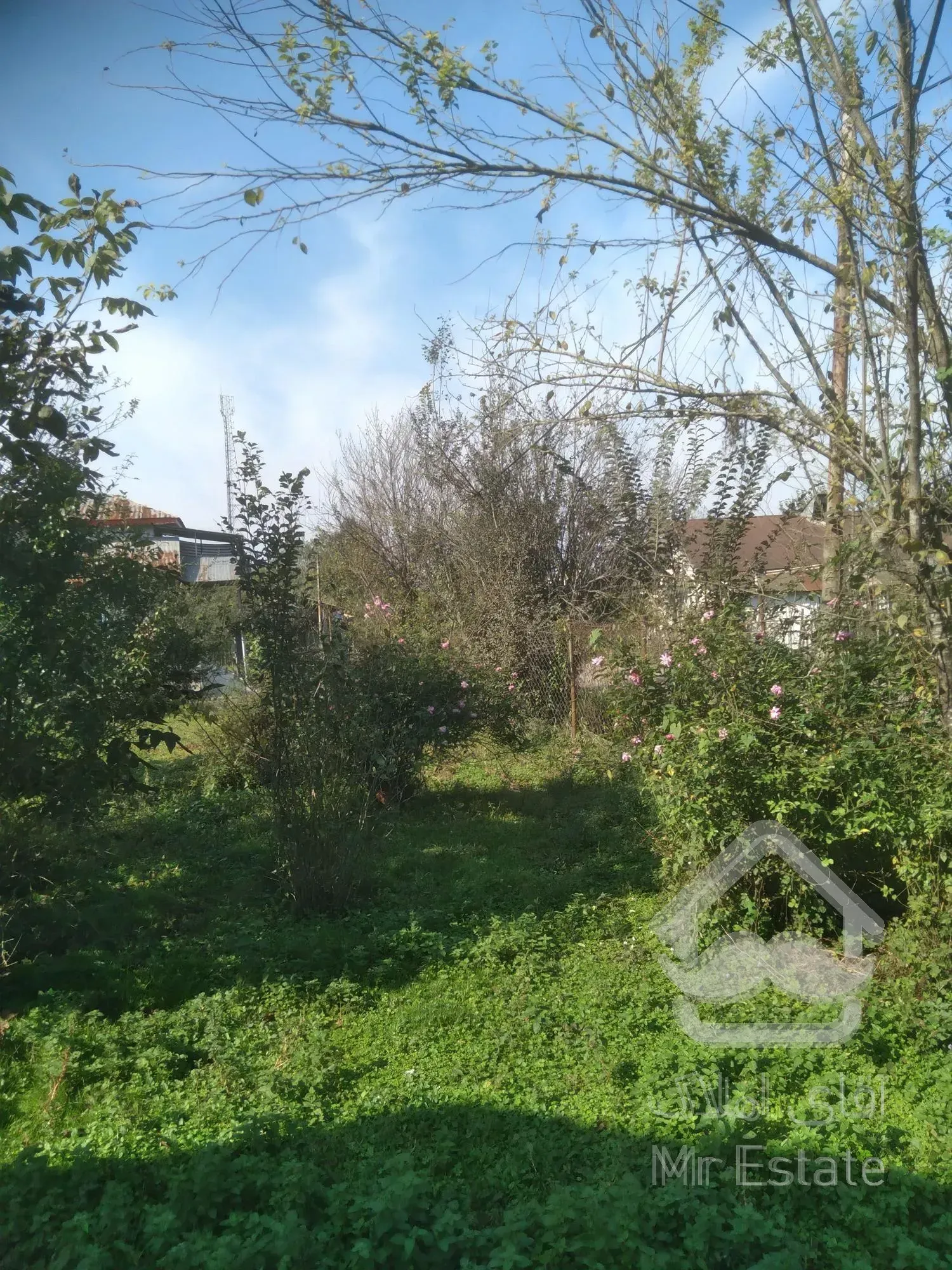 فروش زمین مسکونی واقع در شمال