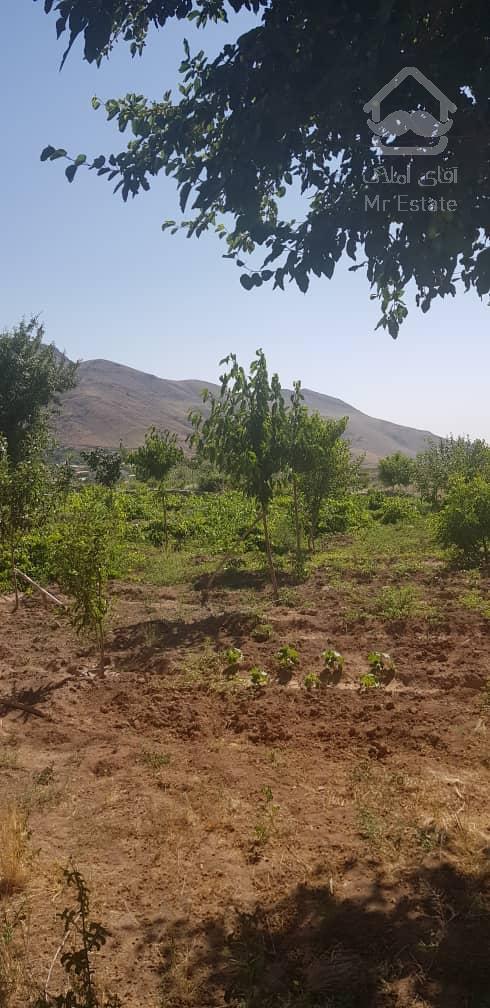 فروش باغ محصور شده با درختان مثمر در مسیر طالقان (روستای صمغ آباد)