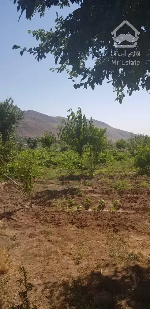 فروش باغ محصور شده با درختان مثمر در مسیر طالقان (روستای صمغ آباد)