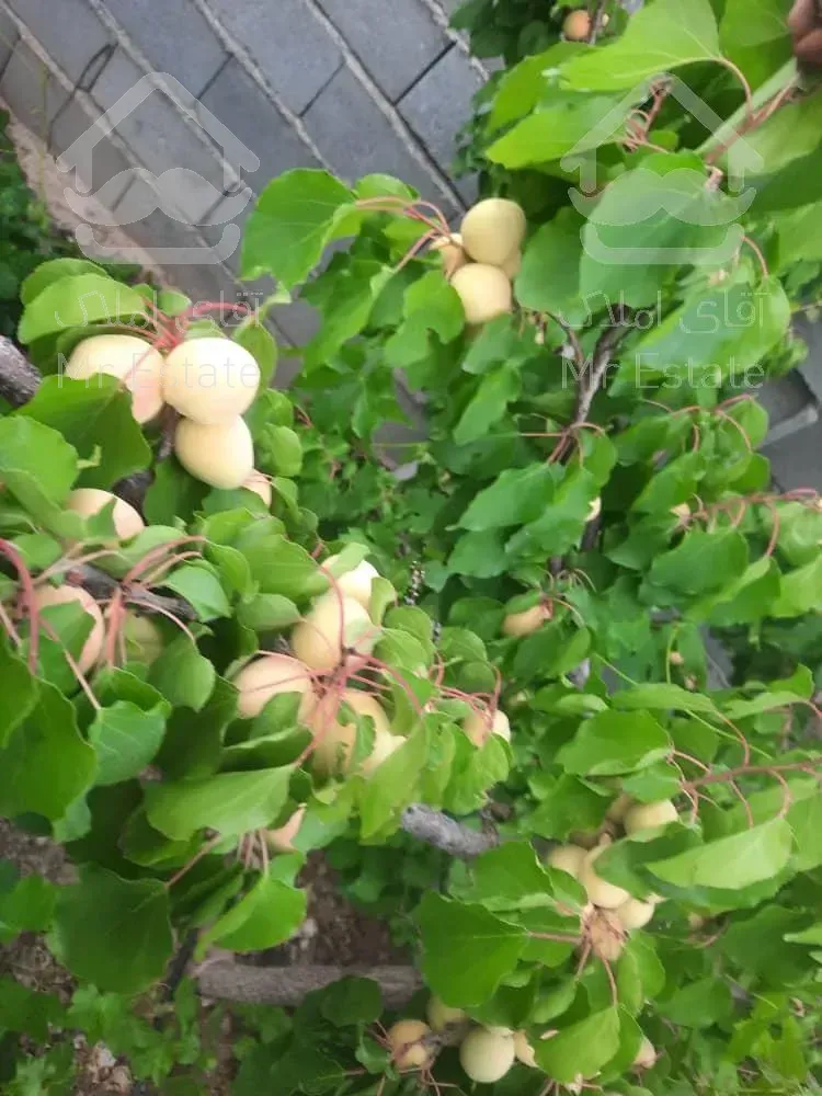 تهاتر ویلا باغ با اپارتمان در ساوه پرند