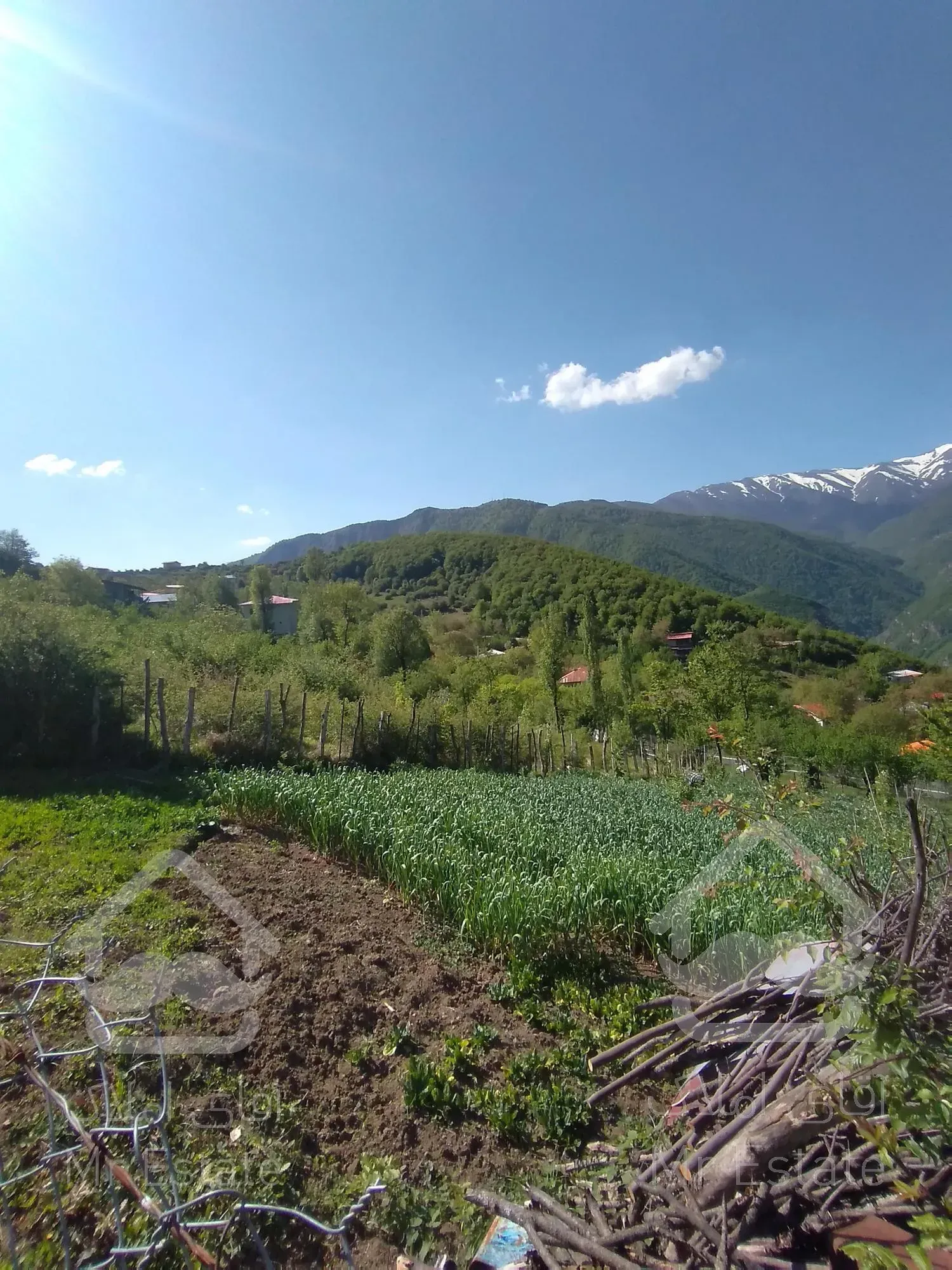 زمین ییلاقی،ییلاق دالخانی(ولنگان)