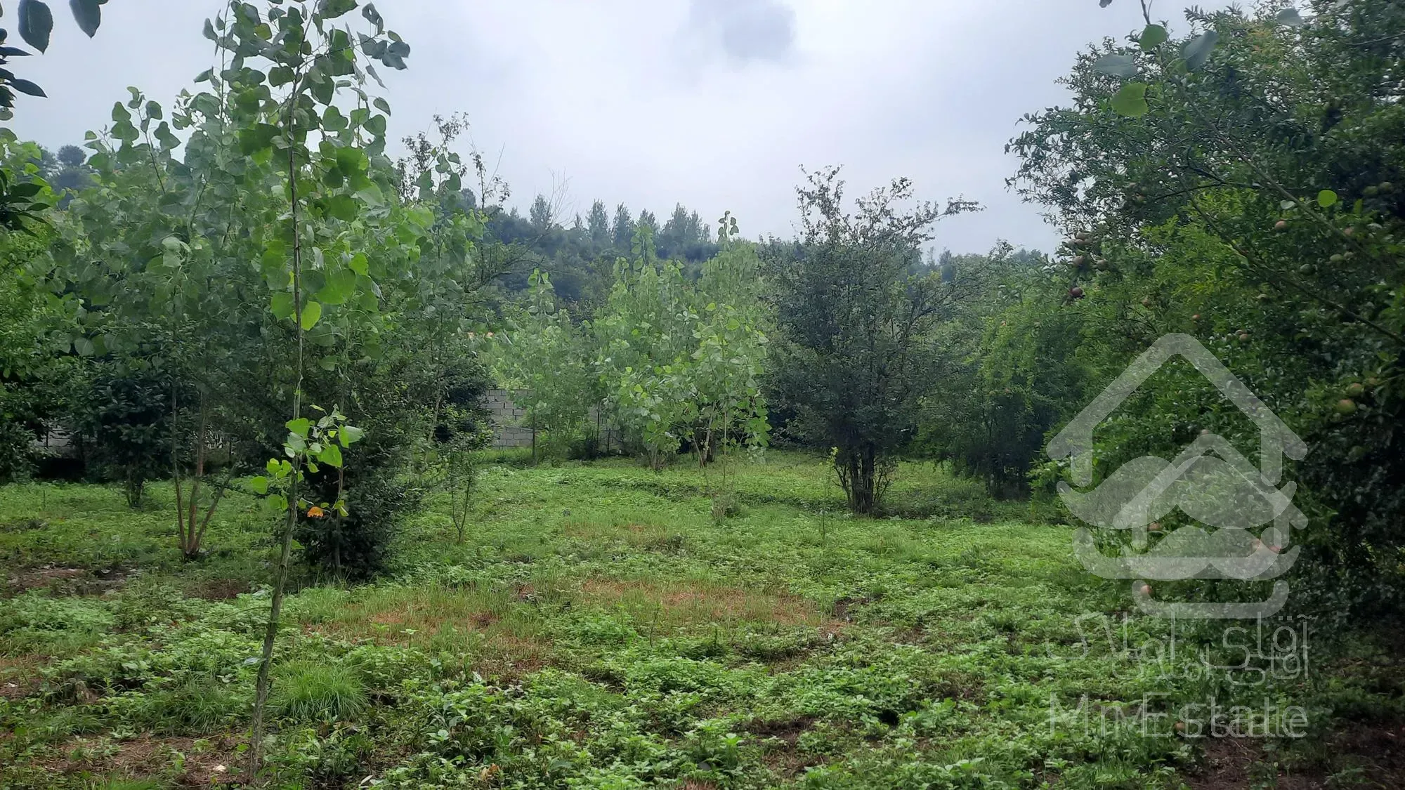 فروش زمین مسکونی واقع در شمال