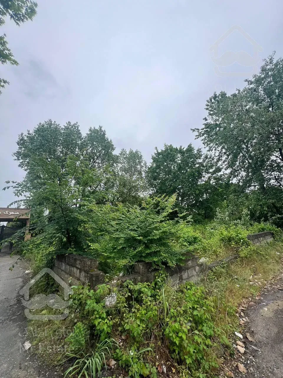 زمین مسکونی به قیمت لوکس