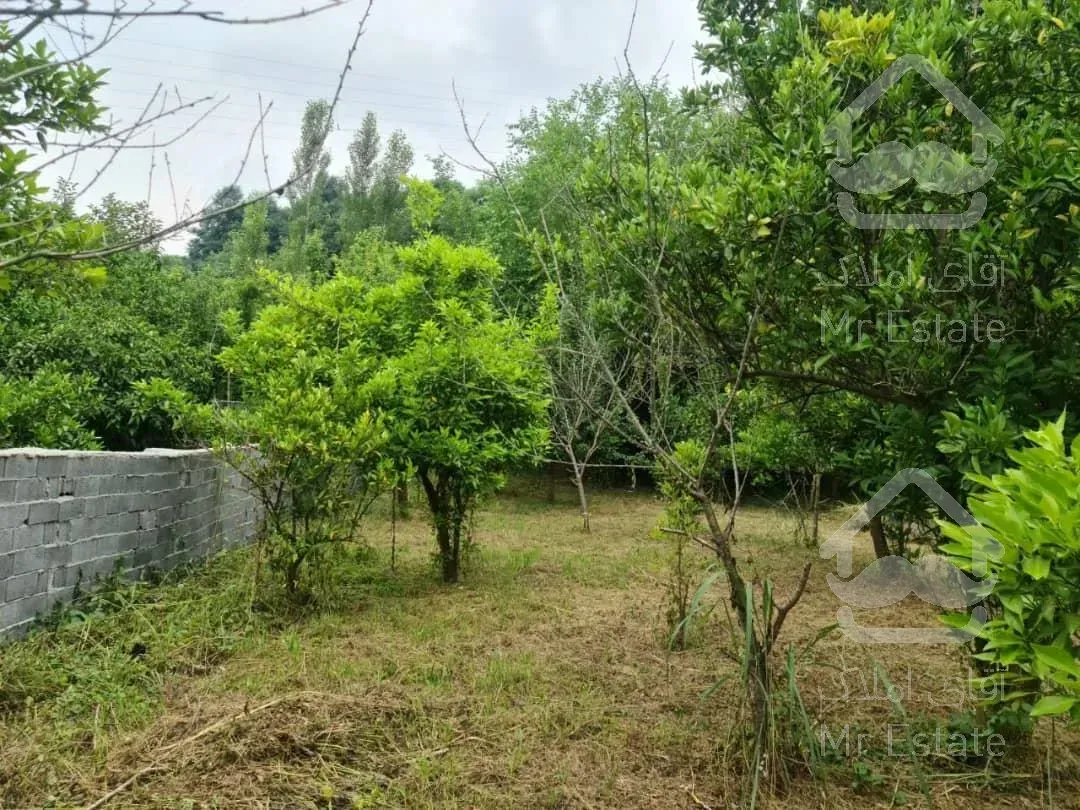 فروش باغ/ ۱۰۵۰ متر/ قائمشهر/سرمایه‌گذاری موفق