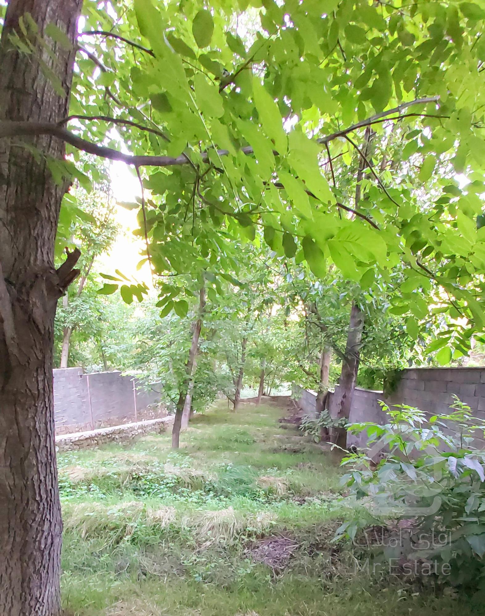 باغچه ویلایی در باغ آلو مراء دماوند مشرف به رودخانه