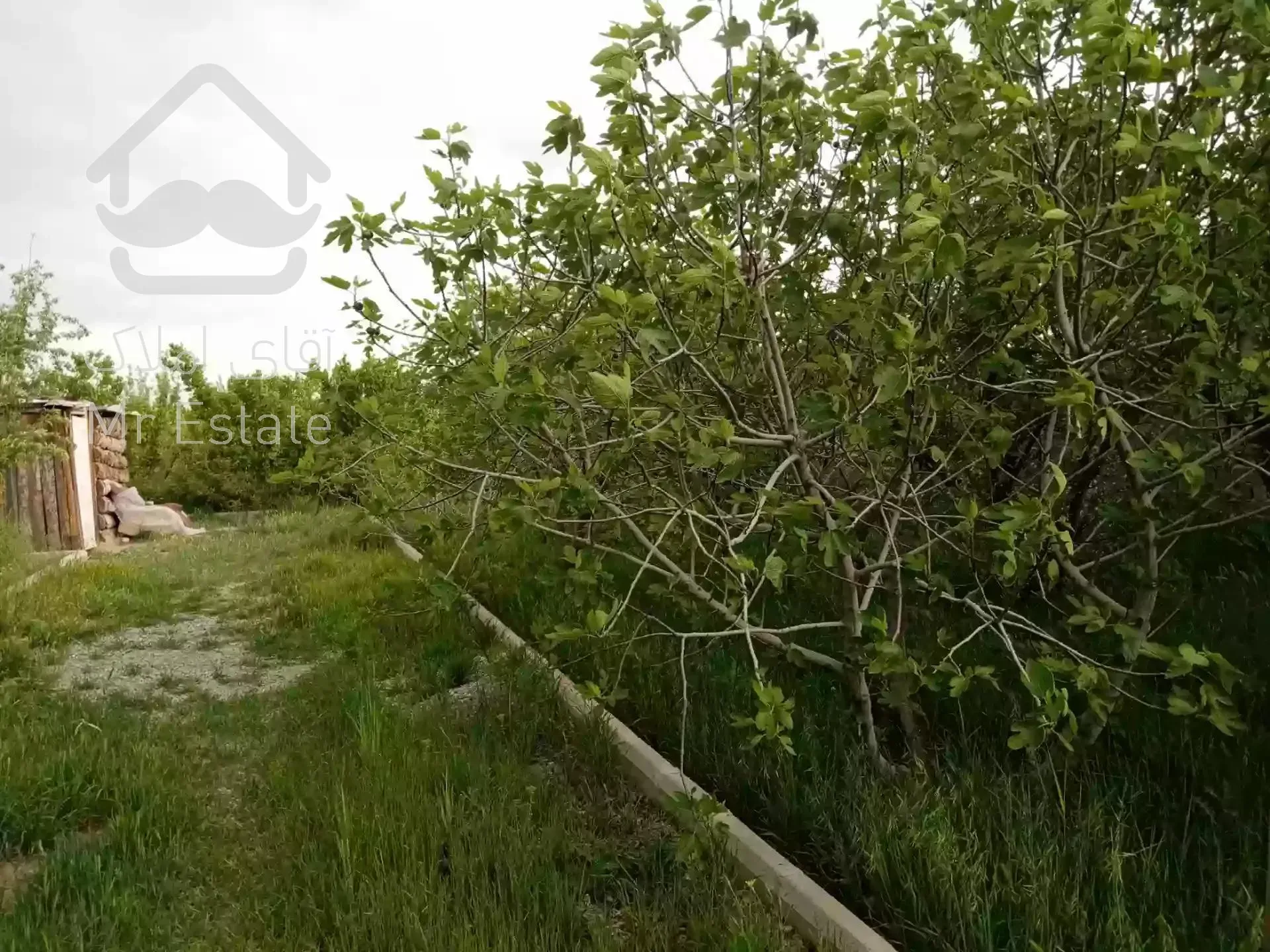 باغ ۱۰۰۰ متری در رباط کریم