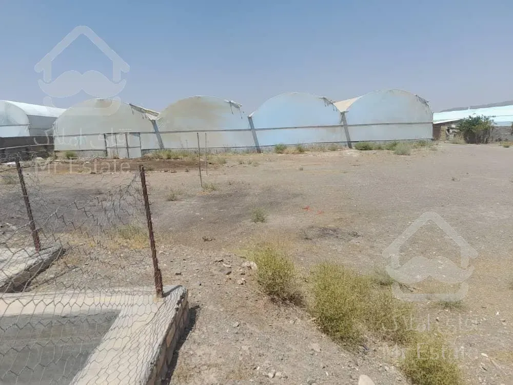 مجتمع گلخانه ای/ سلفچگان/ تک برگ