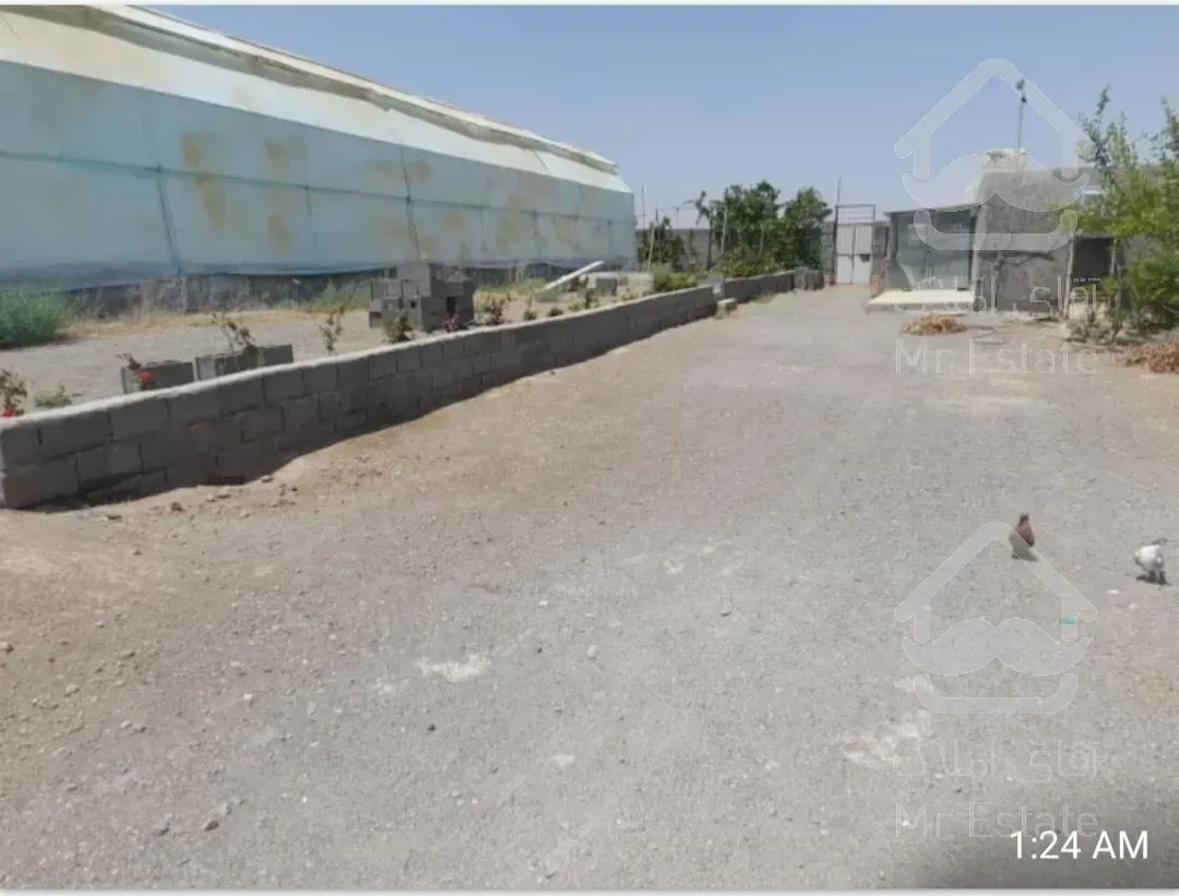 گلخونه ۵۰۰۰ متری سلفچگان /