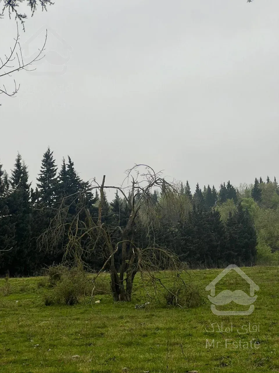 زمین قواره بزرگ رویان ۱۴۰۰۰_متر