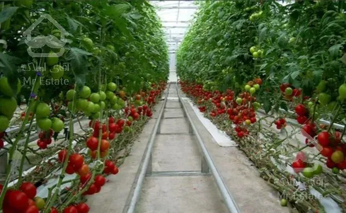 متقاضی خرید گلخونه در شمال کشور