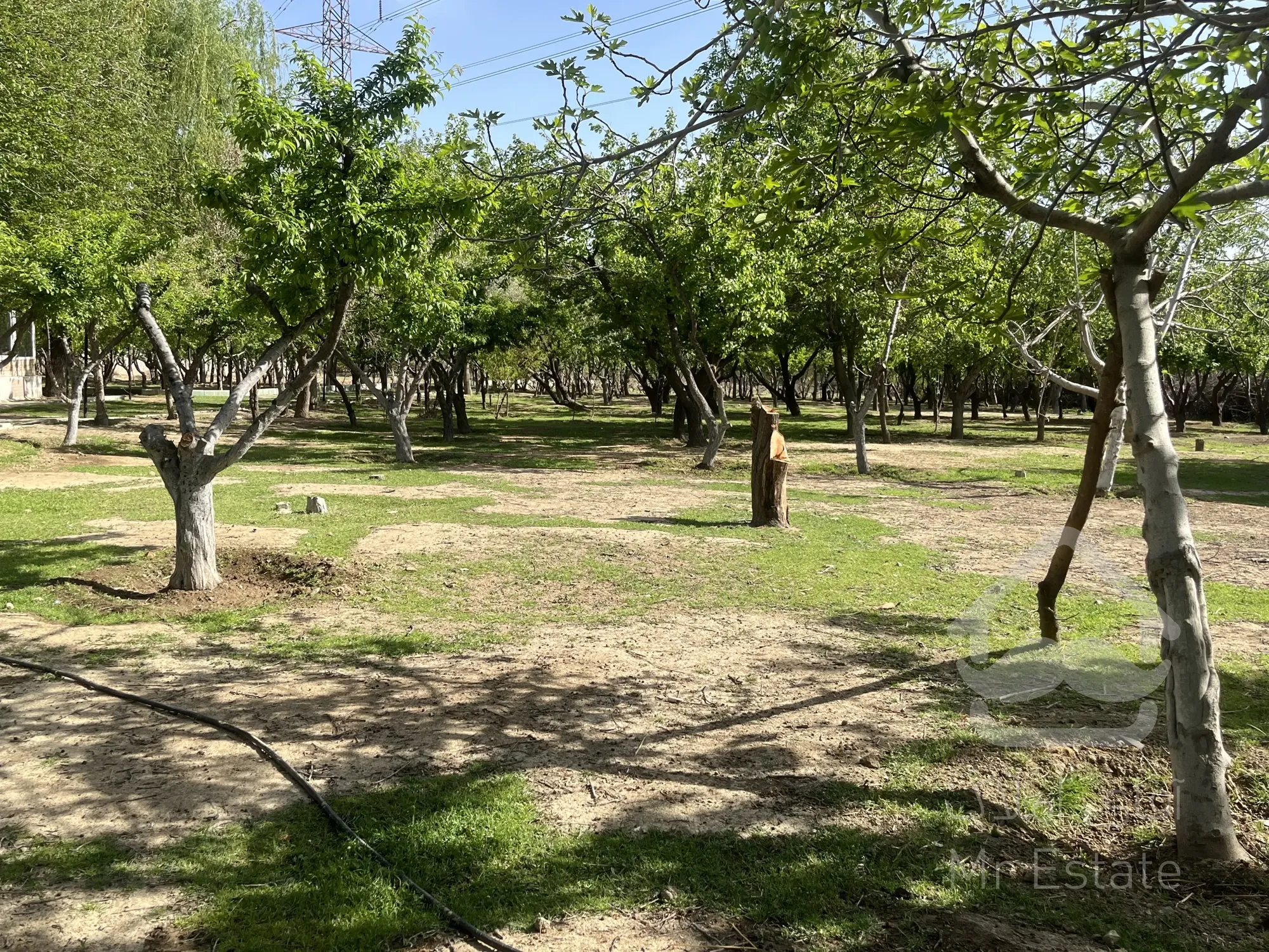 باغ ویلا مناسب تالار