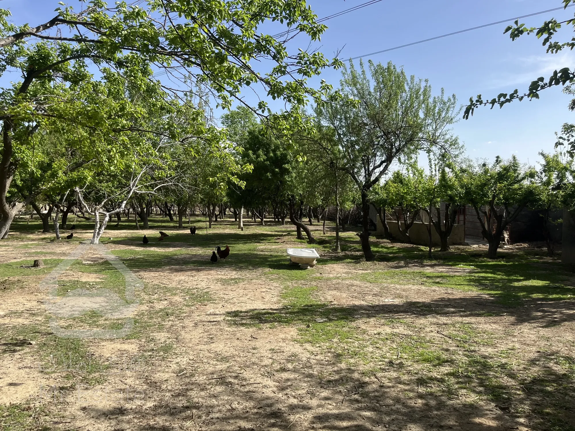 باغ ویلا مناسب تالار