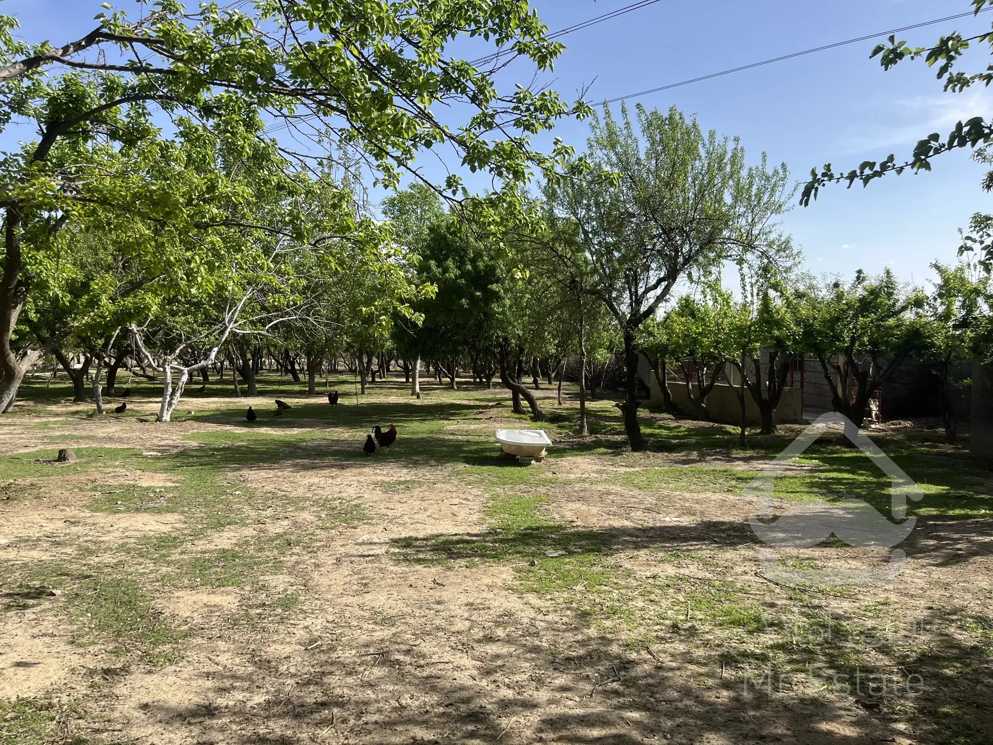 باغ ویلا مناسب تالار