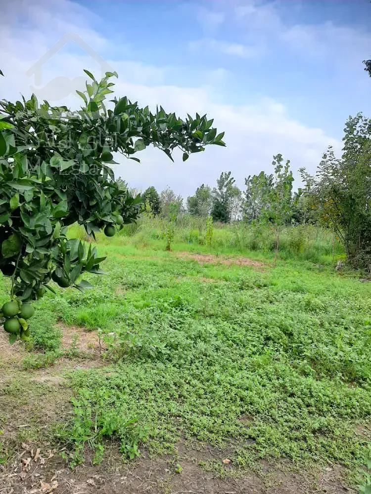 فروش خانه کلنگی به همراه زمین با متراژ بالا