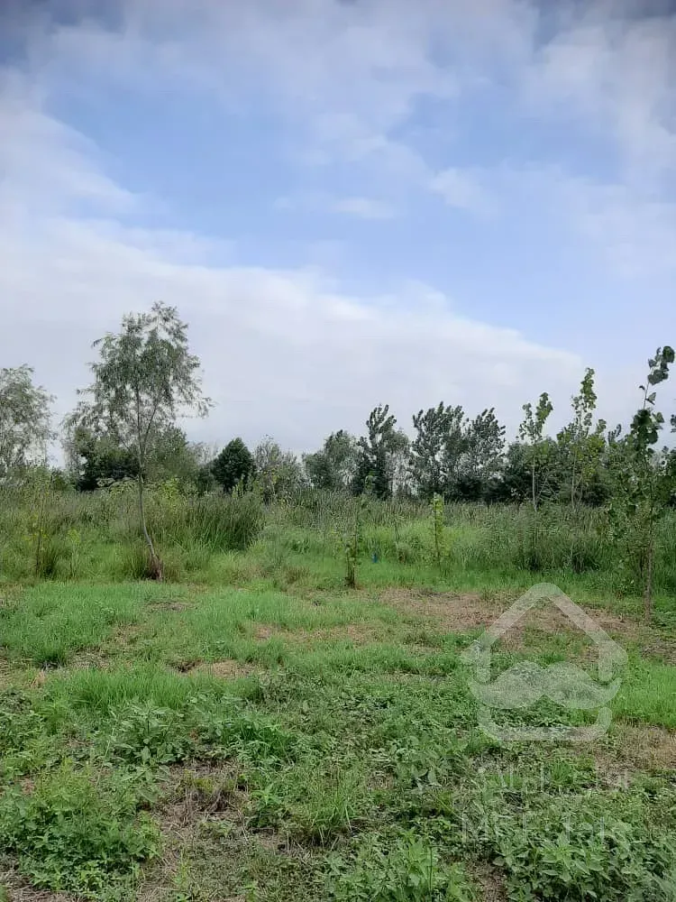 فروش خانه کلنگی به همراه زمین با متراژ بالا