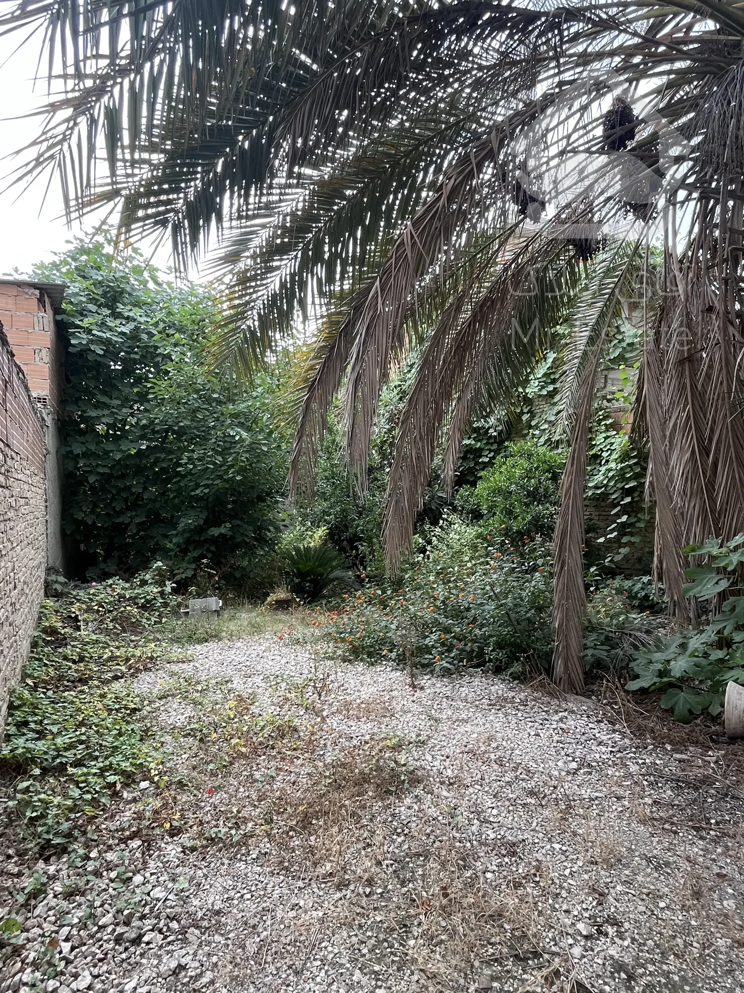 فروش زمین ۱۸۴ متری بهشهر