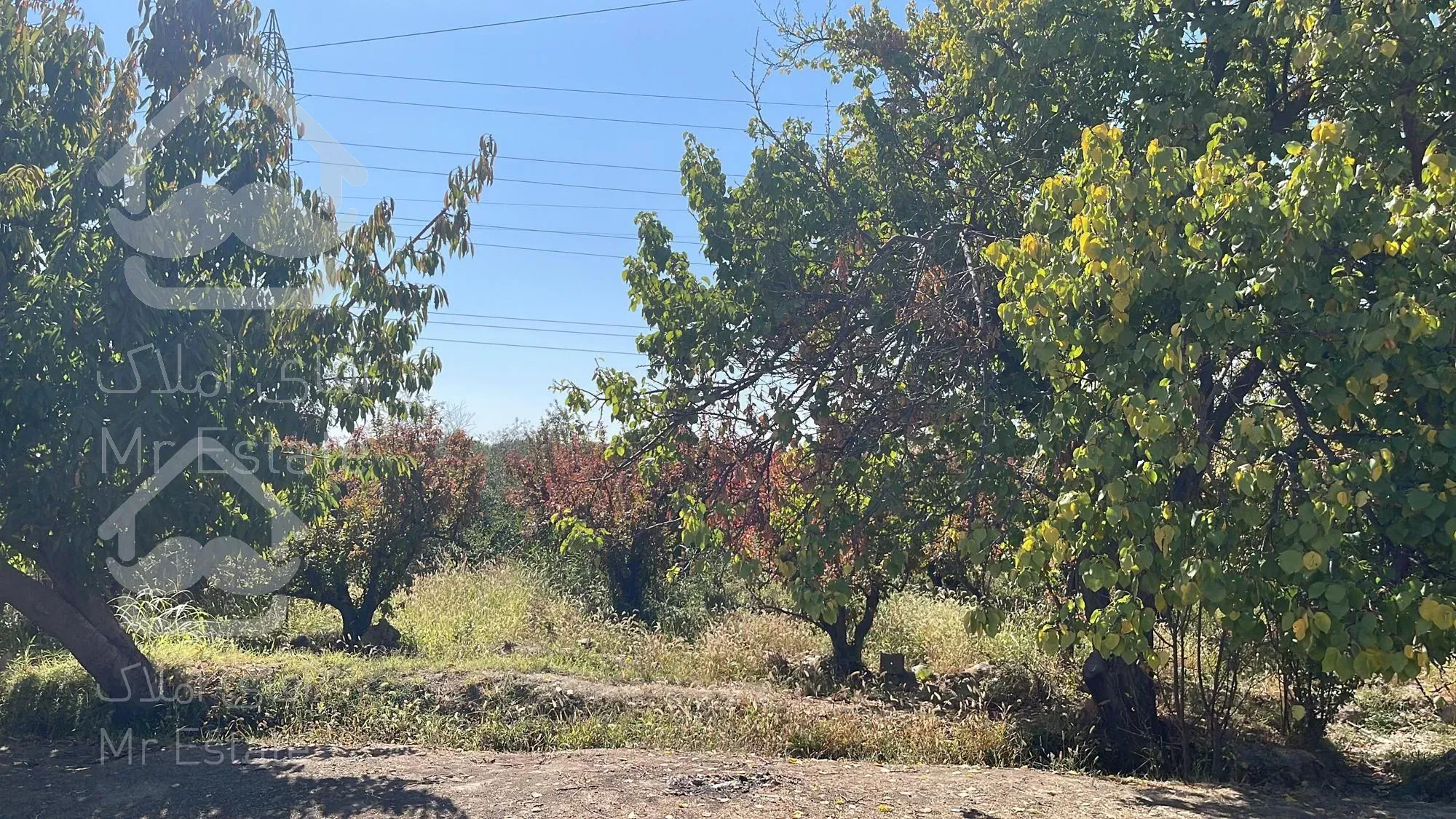 فروش باغ - سهیلیه - سنقرآباد